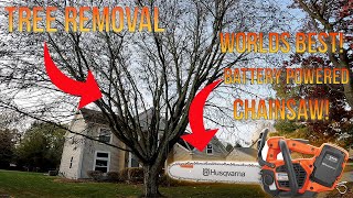 Testing The Capabilities Of The Husqvarna T540ixp Battery Powered Chainsaw [upl. by Frantz]