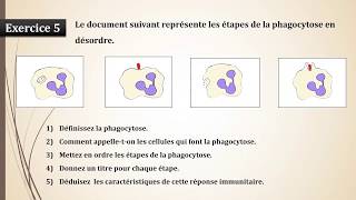 exercices du cours de limmunité naturelle 3 AC تمارين درس المناعة الطبيعية [upl. by Akkimat]