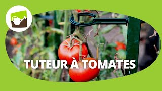 Comment installer correctement un tuteur tomate pour vos plants de tomate [upl. by Briano]