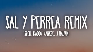 Sech Daddy Yankee J Balvin  Sal y Perrea Remix LetraLyrics [upl. by Farrell]