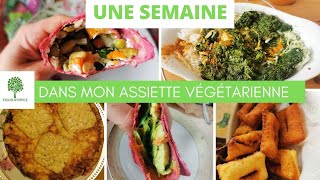 Une SEMAINE dans mon ASSIETTE VÉGÉTARIENNE  LUNDI VERT n°264 [upl. by Tremaine775]