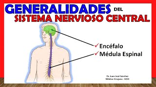 🥇 SISTEMA NERVIOSO CENTRAL SNC  Generalidades  ¡Explicación Sencilla [upl. by Annahvas560]