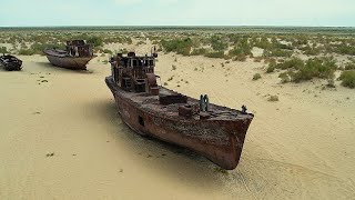 Regreening Uzbekistans desertified Aral Sea region [upl. by Aicilf]