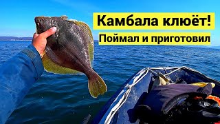 Камбала клюёт Поймал и приготовил  СУБТИТРЫ [upl. by Kari]