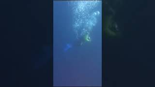 A diver filmed his own death  shorts [upl. by Neilla256]