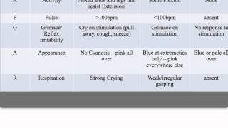 APGAR Score [upl. by Regine]