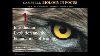 Biology in Focus Chapter 1 Introduction  Evolution and the Foundations of Biology [upl. by Rebmaed]