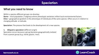 NCEA Biology L3  Speciation [upl. by Ennywg754]