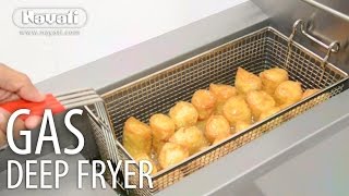 Nayati Deep Fat Fryer [upl. by Sabine]