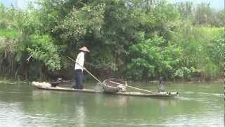 Cormorant Fishing in Guilin China 鸕鶿捕魚 [upl. by Jc]