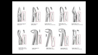 tooth extraction forceps armamentarium types of forceps and technique of usage Exodontia [upl. by Rana]