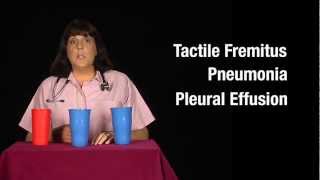 Tactile Fremitus Cups Demonstration [upl. by Auhel352]