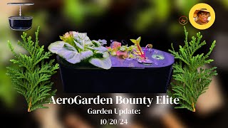 AeroGarden Bounty Elite Update 102024 [upl. by Kelula569]