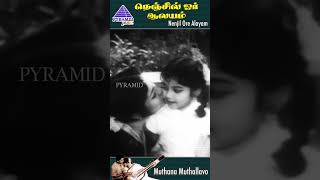 Muthana Muthallavo Video Song  Nenjil Or Aalayam Movie Songs  Muthuraman  Devika  Shorts [upl. by Lillie]