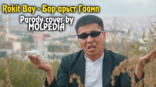 Rokit Bay  Бор арьст Гаамп  Parody cover by Molpedia 😅 [upl. by Columbyne]