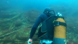 Ship graveyard dive  Farilhões islands Peniche Portugal [upl. by Lundberg]