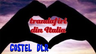 Trandafiri din Italia  Costel DLR [upl. by Aidin]