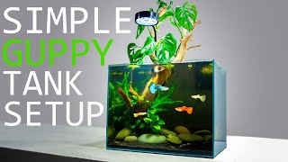 How to Setup a Simple Guppy Fish Tank TUTORIAL [upl. by Aritak]