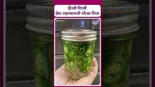 How To Keep Green Chillies Fresh  हिरवी मिरची फ्रेश राहण्यासाठी सोप्या टिप्स [upl. by Bisset515]