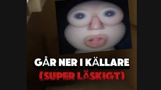 Jag går ner i￼￼ källare SUPER LÄSKIGT [upl. by Aztiraj890]