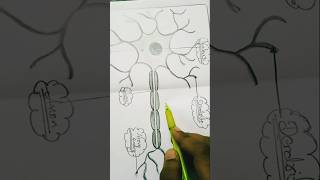 Neuron Structure Diagram Class 10thshorts art nuron boardexam 10th youtubeshorts [upl. by Carlen215]