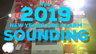 The 2019 New Years Fire Alarm Sounding [upl. by Midge]