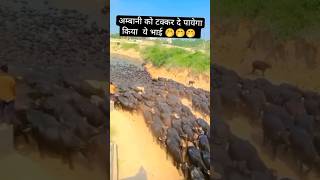 अंबानी क्या चीज है मेरी जानtranding please10k subscribe 10ksubcribe [upl. by Aillicirp2]