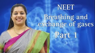 NEET Breathing and Exchange of Gases Part 1 [upl. by Amos348]