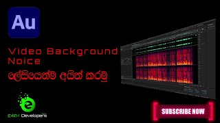 How to remove background noise easily using Adobe Audition in Sinhala [upl. by Nairahcaz]