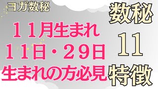 １１月生まれ、１１日、２９日生まれの方必見！ヨガ数秘、数秘１１を持つ人の特徴 〜数字１１〜について [upl. by Tijnar]