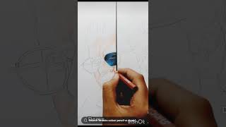 Camlin colour pencil vs Doms colour pencils [upl. by Azar415]