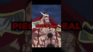 Worst World Government Mistakes ONE PIECE [upl. by Kathye227]