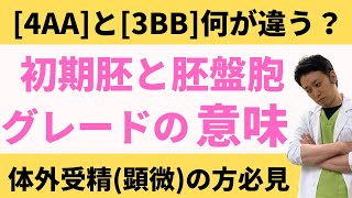 【胚移植予定の方必見】初期胚と胚盤胞のグレードの意味（基準）を紹介（体外受精・顕微授精）【妊活不妊治療情報】 [upl. by Elleimac]