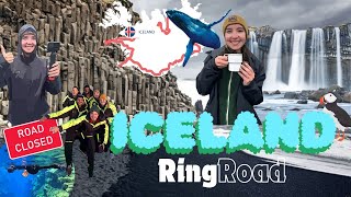 Driving Icelands Ring Road 🐋🧊🐧  Travel Vlog [upl. by Bellanca96]