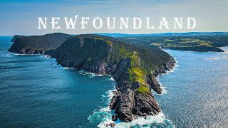 NEWFOUNDLAND ROAD TRIP 🇨🇦🫎🐋🏕️🏔️ [upl. by Pratte368]