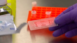 How to use a Hemocytometer for Tissue Culture Cell Counting [upl. by Hamimej]