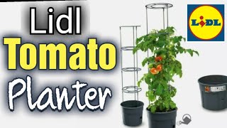 Lidl Parkside Self Watering Tomato Planter Assembly and Planting  Gardening for Beginners [upl. by Aicinad]