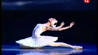 The Dying Swan Svetlana Zakharova Camille SaintSaens [upl. by Abell]