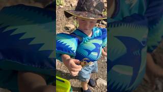 2 year old catches dozens of crawfish 🦞 [upl. by Heim]