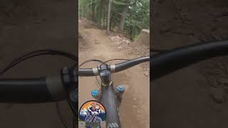 Silver Fir DH Washingtons version of Whistler DH mtb mountainbiketrails pnwmtb mountainbiking [upl. by Arber]