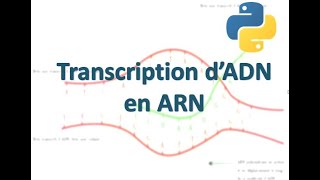 Transcription dadn  python challenge [upl. by Kirkwood]