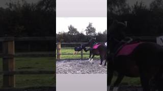 See ya 👋 fail pony ponyfail falling horsefail ponies [upl. by Debbi864]