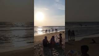 Morjim Beach  Best Beach  Goa Beach  Goa [upl. by Durrett447]