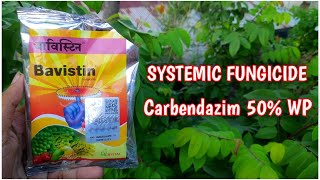 What Is Bavistin Fungicide  How To Use Bavistin  Systemic Fungicide Carbendazim IN HINDI [upl. by Umeko]