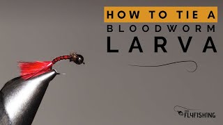 How To Tie a Bloodworm Larva StepByStep Guide [upl. by Elimaj]