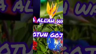 Sohobate allah walon ki Gojol sunle mon bore jabe a h tilawat [upl. by Anirtek]