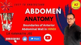 Anterior abdominal wall boundariesAnterior abdominal wallAbdomen anatomyAnatomy abdomen [upl. by Derdle]