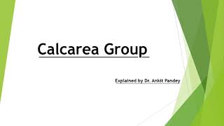 Calcarea group and calcarea carbonica homoeopathic medicine calcarea carb constitution symptoms [upl. by Hallutama]