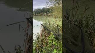 Coking farm woodlands lake carpy carpfish fishing carps fish carp lake carpbasics [upl. by Eriam]