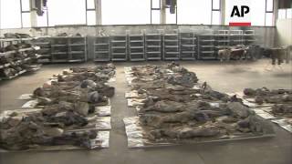 Hundreds of bodies excavated from mass grave 18 years after the war [upl. by Ycak538]